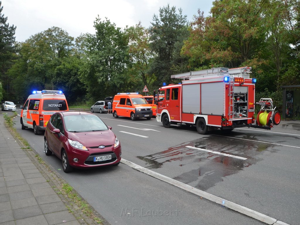 PKlemm Koeln Duennwald Am Weissen Moench Duennwalder Kommunalweg P39.JPG - Miklos Laubert